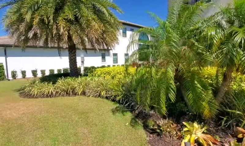 A two-story white Boca Raton home featuring tropical landscaping with palm trees, green bushes, and a neat lawn under a clear blue sky